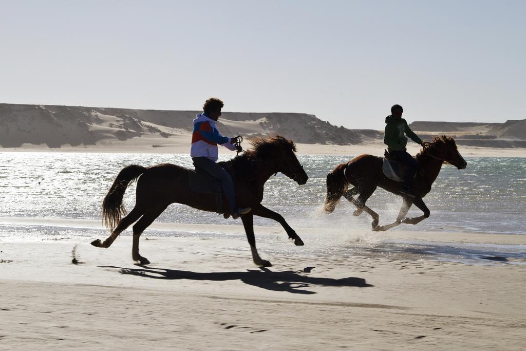 מלון Dakhla Evasion מראה חיצוני תמונה